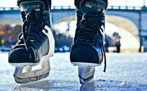 Skating shoes